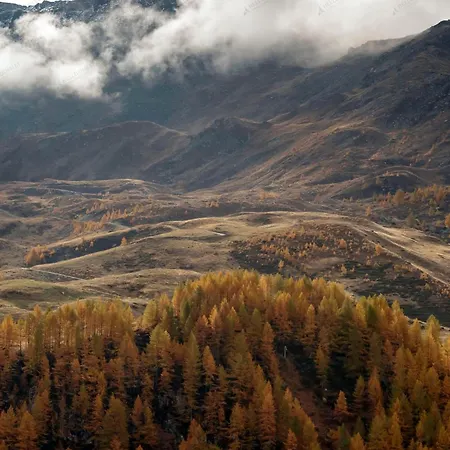 Hellochalet- Maison Skis Aux Pieds - Ski-in With Boot Warmer And Garage Lägenhet
