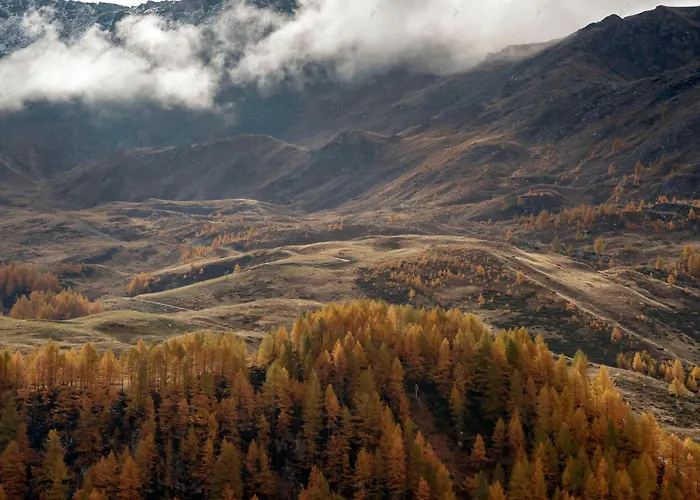 Hellochalet- Maison Skis Aux Pieds - Ski-in With Boot Warmer And Garage アパート